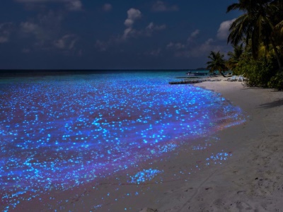 Зоряний Ваадху – острів, що світиться