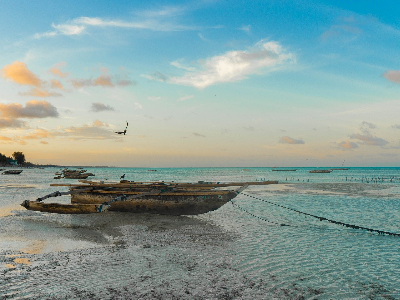 Танзанія – казкова країна, що захоплює та вражає
