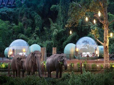 Таїланд вражає. Незвичайна ночівля поряд зі слонами