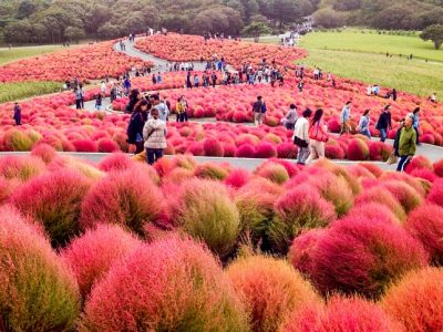 Японія розвиває сільський туризм, щоб розвантажити популярні міста